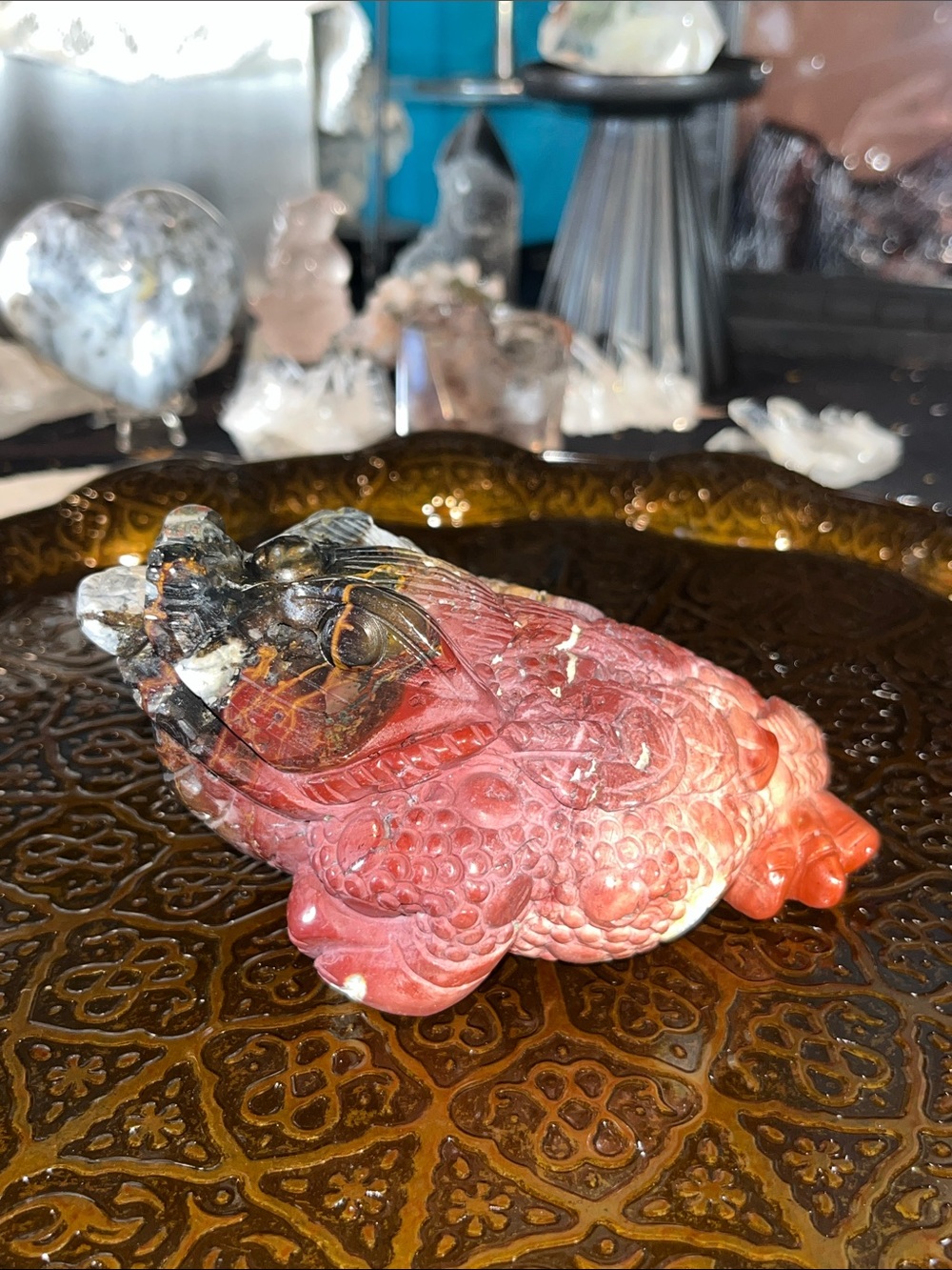 Petrified wood money toad